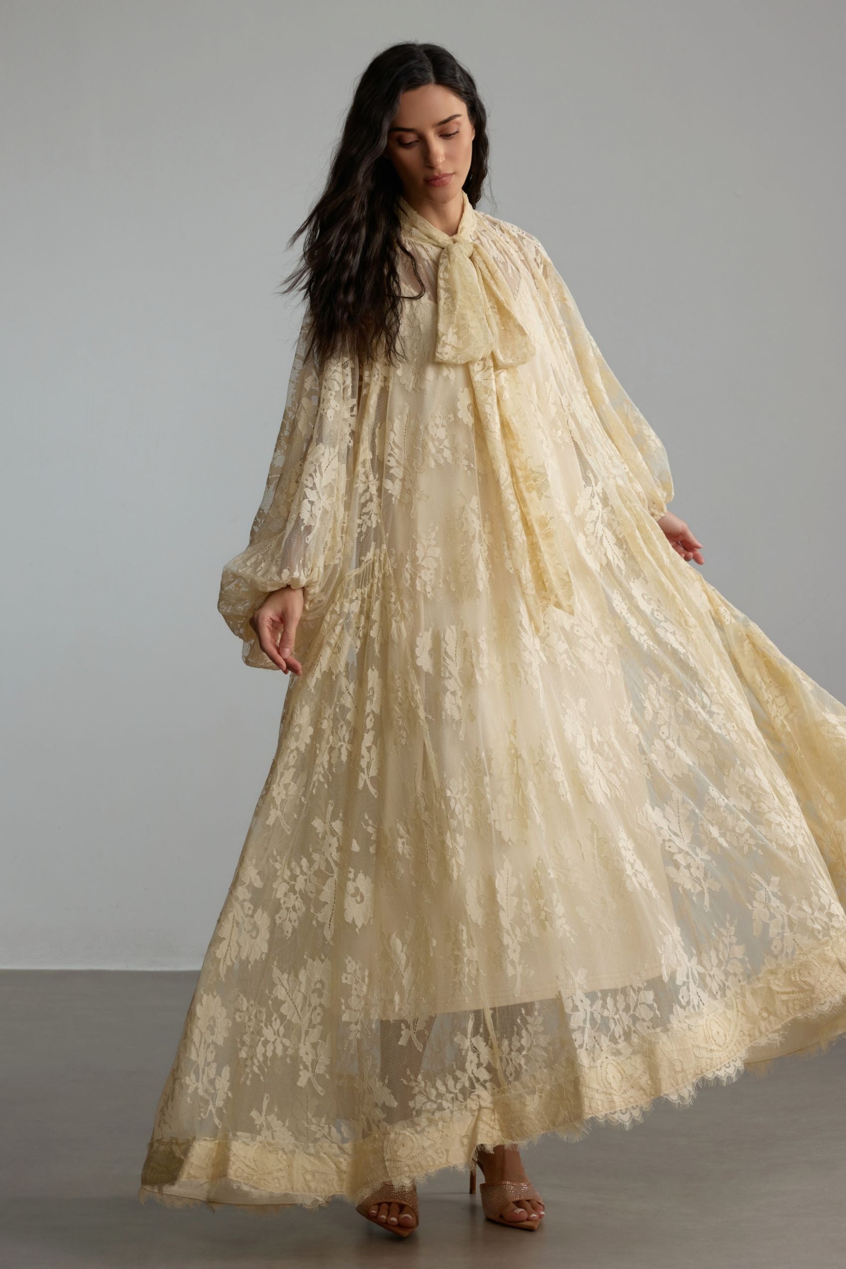 Catharine Floral Lace Sheer Long Dress