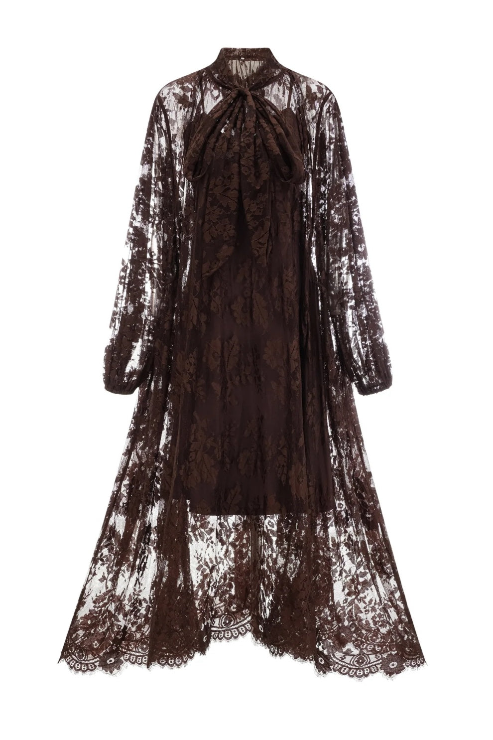 Catharine Floral Lace Sheer Long Dress