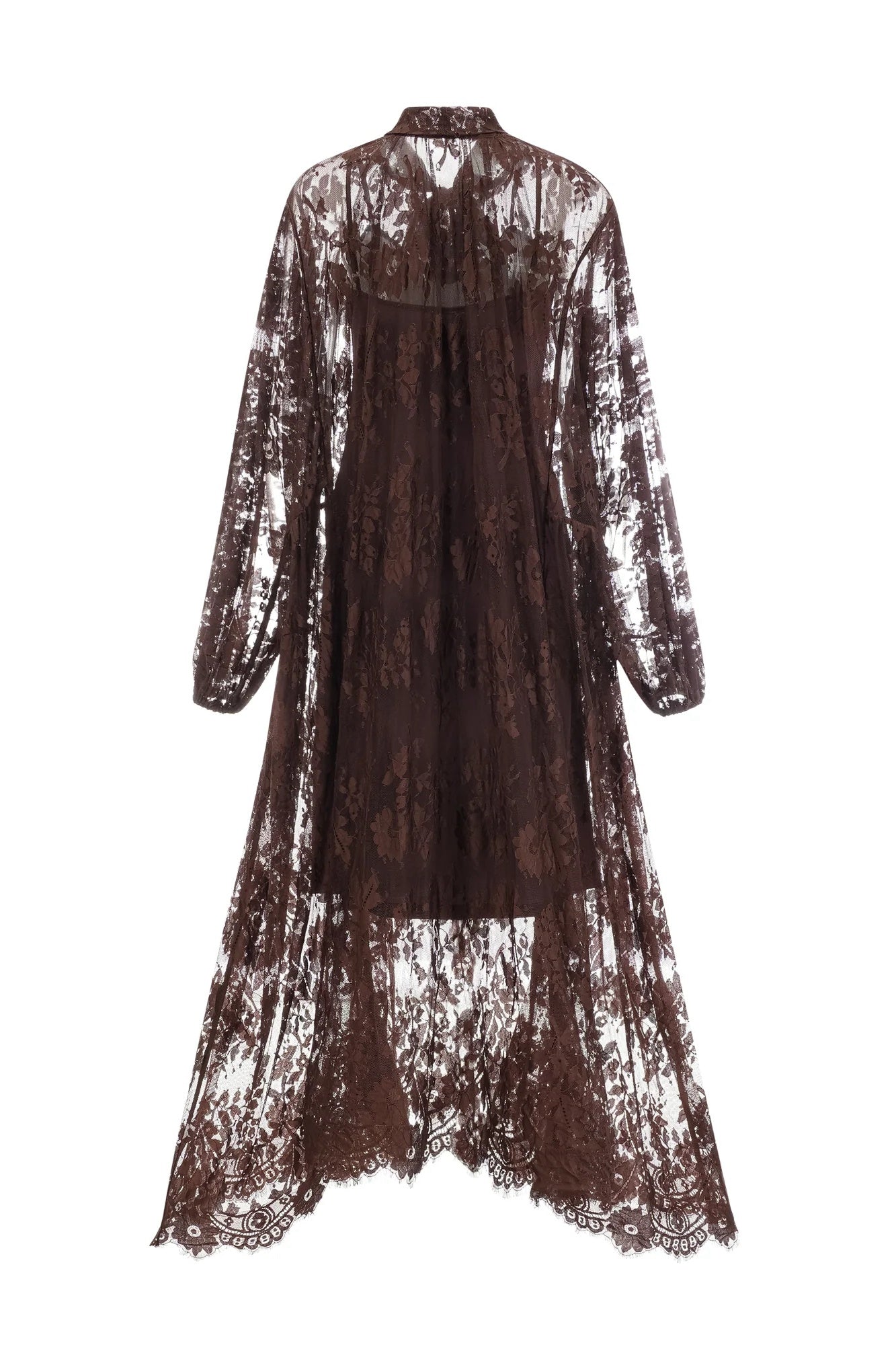 Catharine Floral Lace Sheer Long Dress